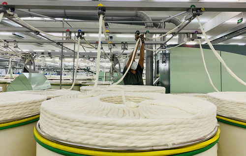 广东援疆推动产业发展与就业促进，东纯兴集团100万锭纺织项目全面达产助力劳动保护用品生产
