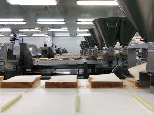 从1亿到7亿的飞跃 揭秘产业用纺织制成品制造企业的增长密码