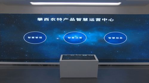 打卡西昌农业版“奥特莱斯” 攀西农特产品智慧运营中心如何成为新地标与产业引擎