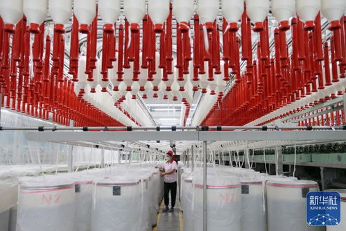 淮北链条式发展纺织产业 构筑经济高质量发展新引擎
